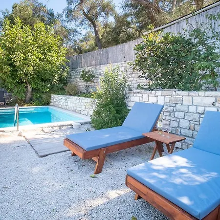Adamantia Paxos